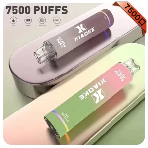 XiaoKe拋棄式電子煙