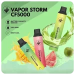 VAPOR STORM 5000 Puffs一次性電子煙