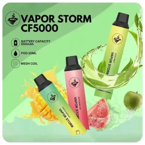 VAPOR STORM 5000 Puffs一次性電子煙